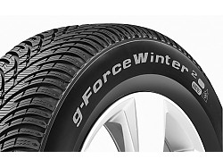 BFGOODRICH G-FORCE WINTER 2 195/65 R15 91T Zimní